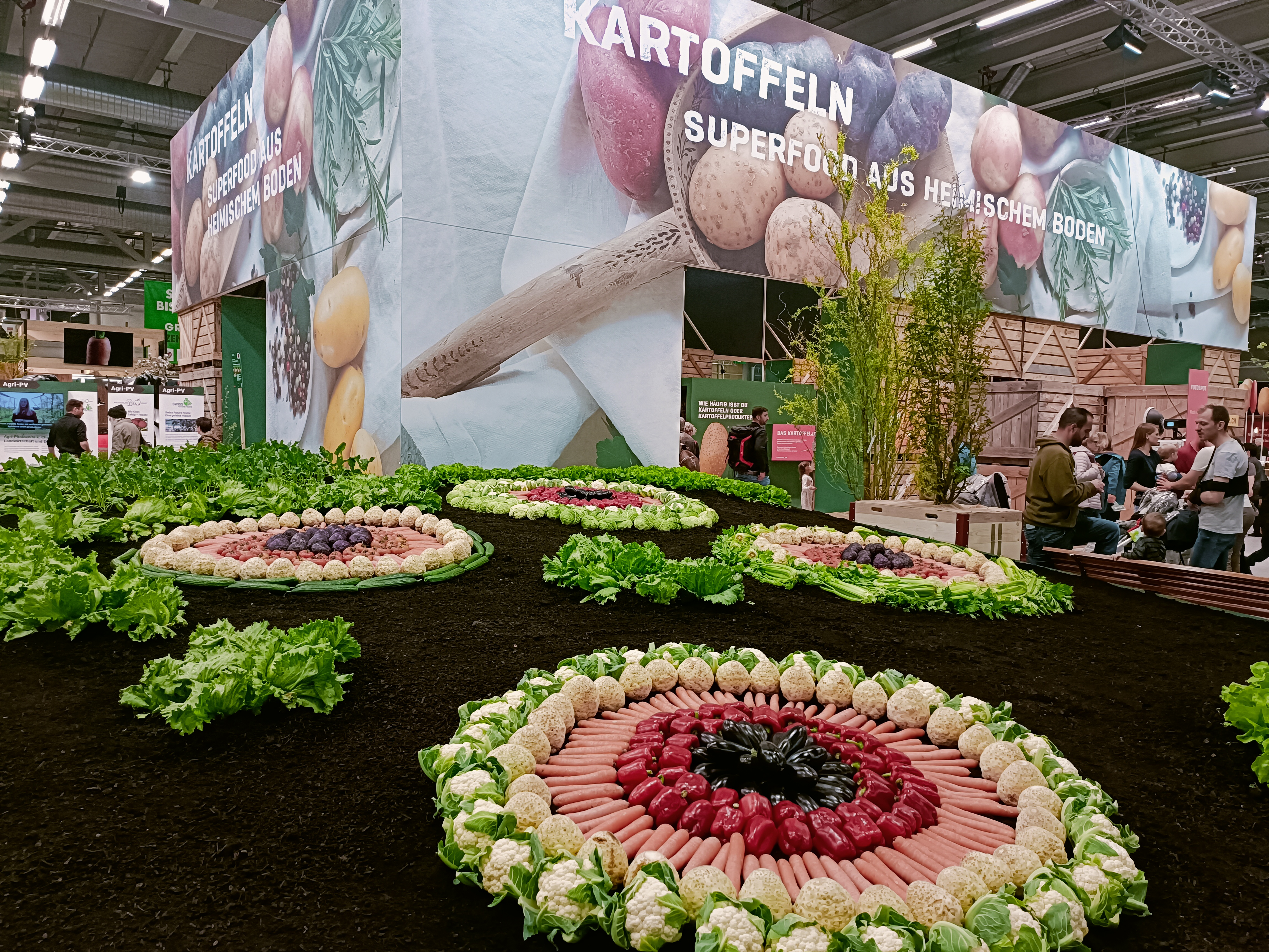 Sonderausstellung Kartoffeln